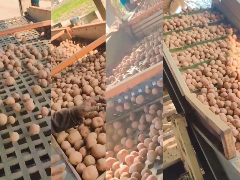 Vyom%20Agro