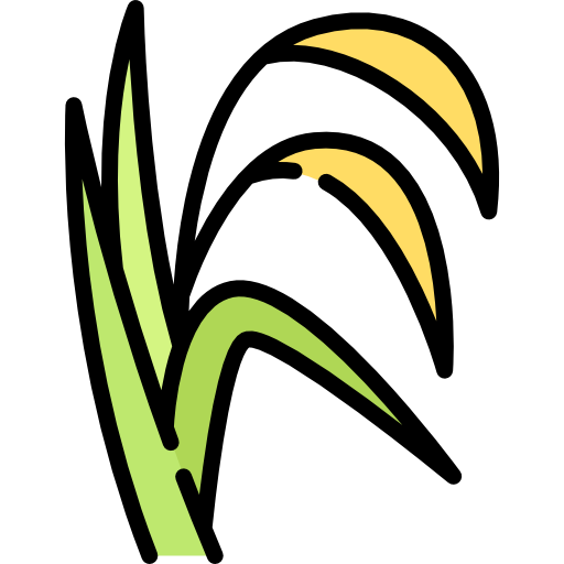 Vyom%20Agro