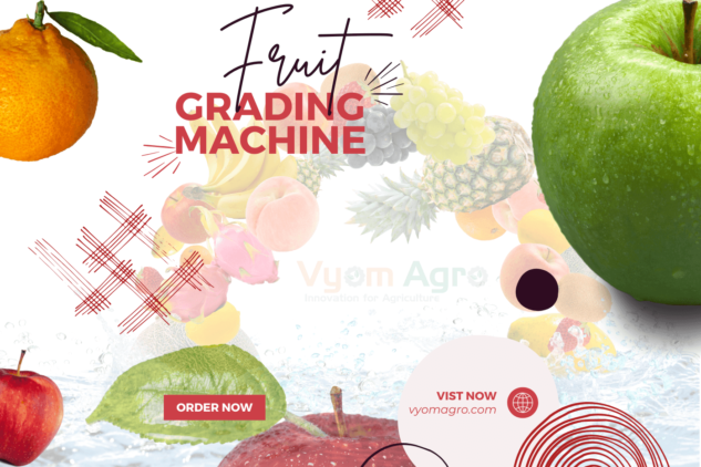 Fruit Grading Machine