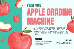 Apple Grading Machines