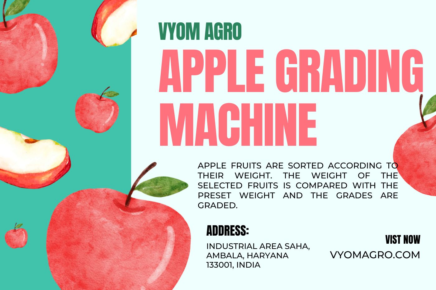 Apple Grading Machines